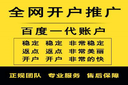 SEM运营公司案例解析：数据分析与优化